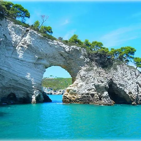 Hotel Hotel Alba Del Gargano Mattinata